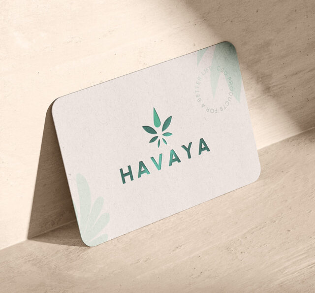 HAVAYA