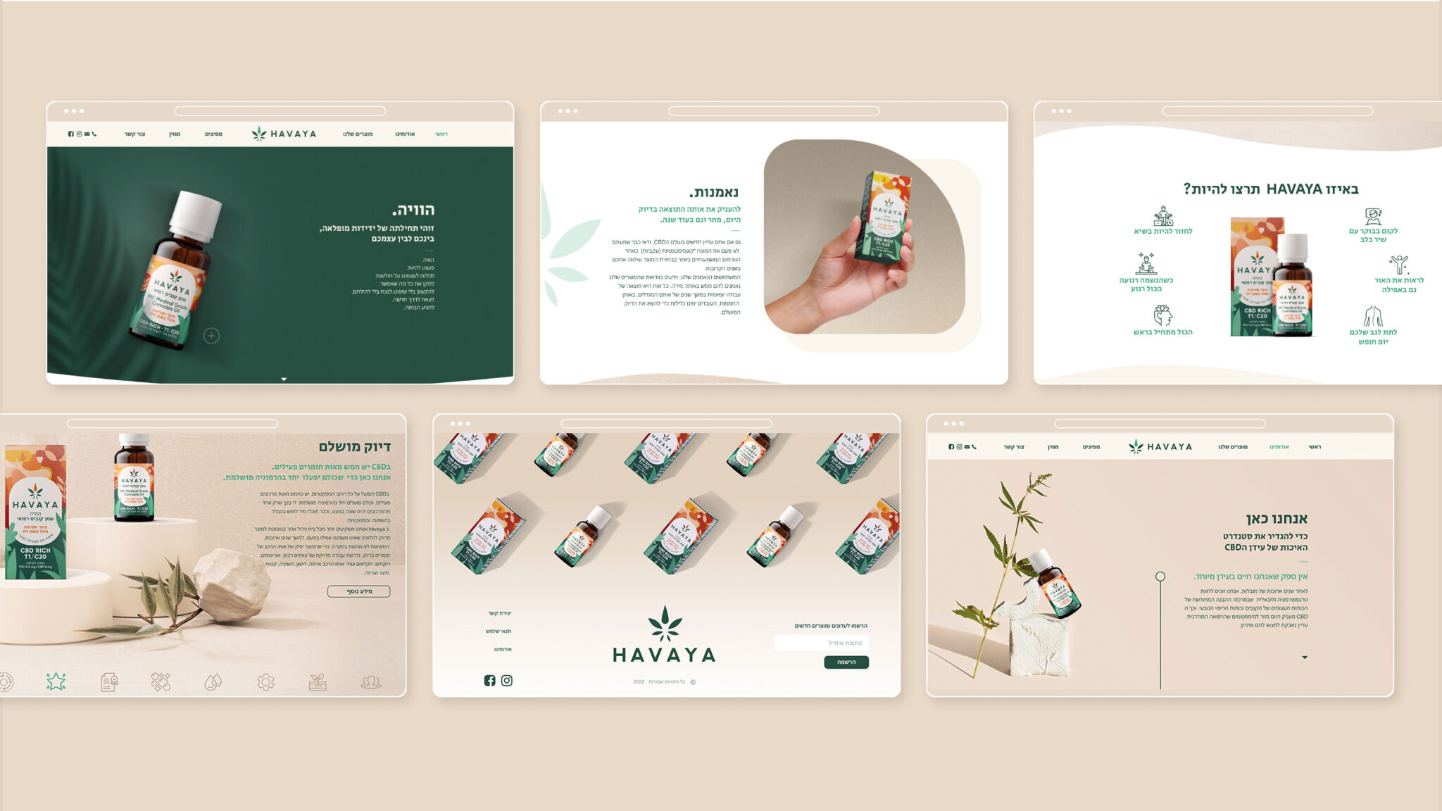 Havaya_case_desktop_slides_2560x1440px_02